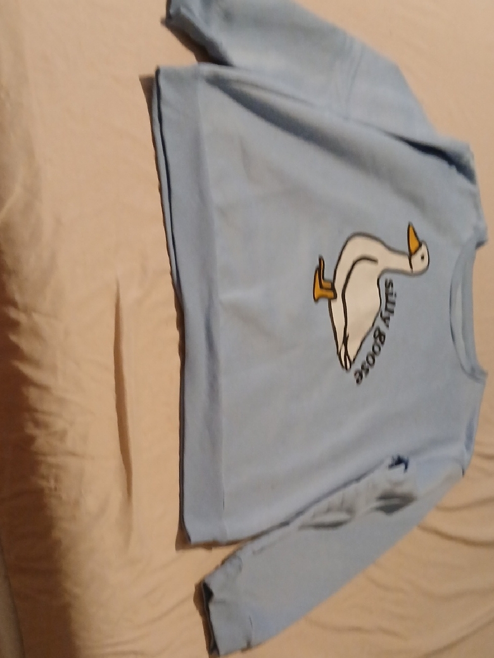 SHEIN Pale Blue Fleece Lined Sweatshirt